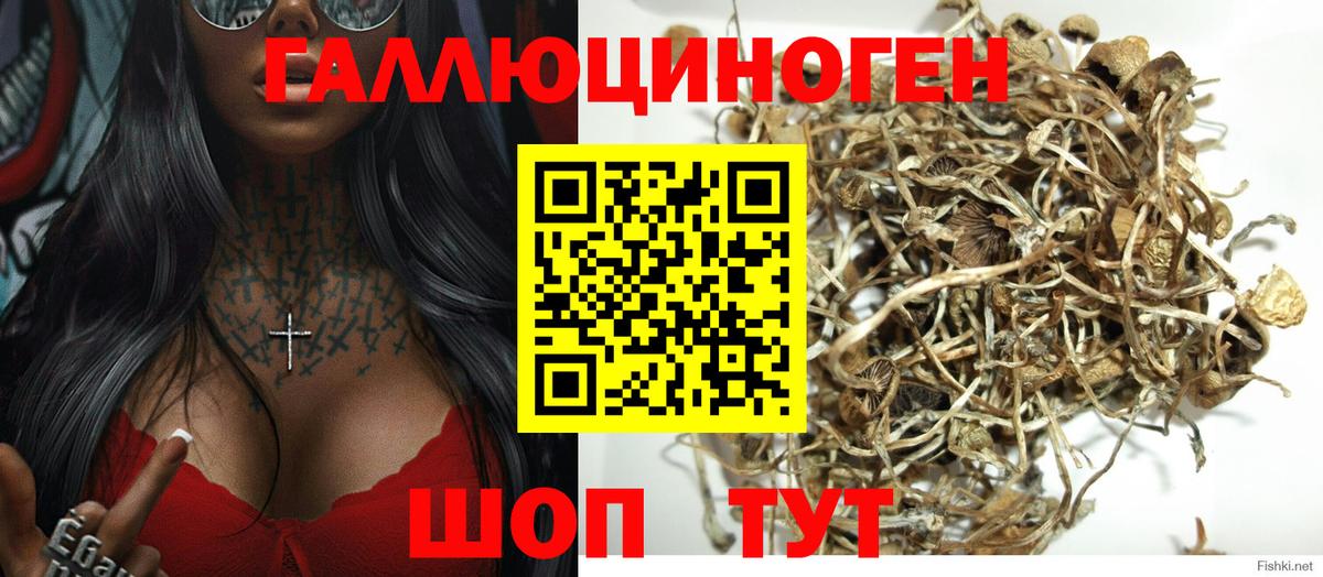 что такое наркотик  Вход с VPN  Рузаевка  Галлюциногенные грибы MAGIC MUSHROOMS 